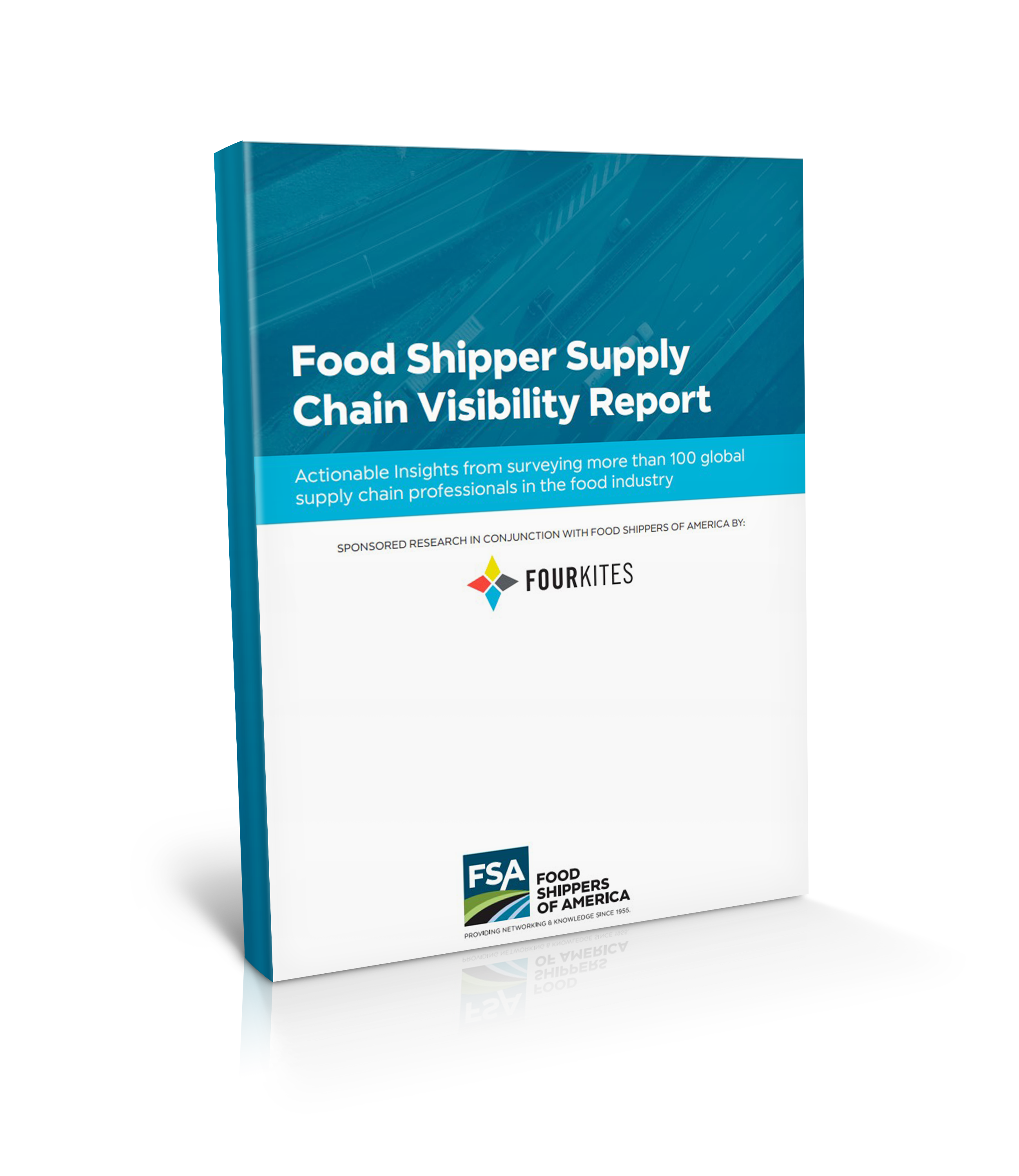 Supply Chain Visibilty Report